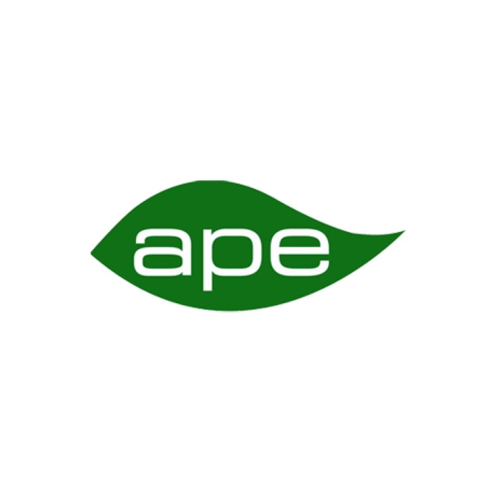 copy of 